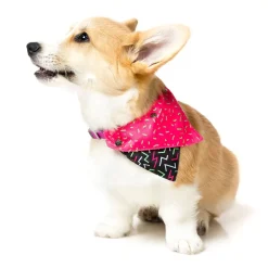 Juicy Pet Bandana