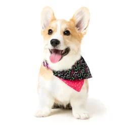 Juicy Pet Bandana