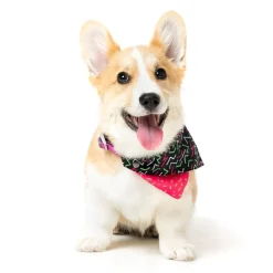 Juicy Pet Bandana