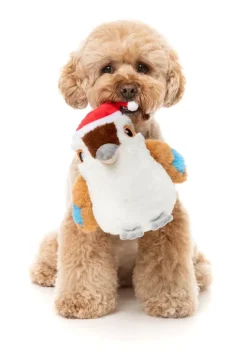Ka-Tree-Na the Kookaburra - Dog Toy