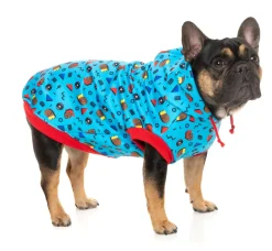 Kings of Gold School Hoodie