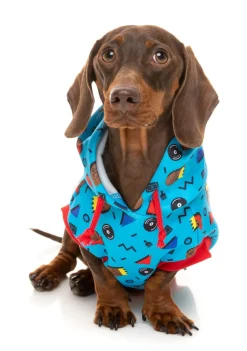 Kings of Gold School Hoodie