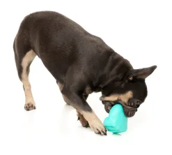 Knuckle Sandwich - Interactive Chew Toy