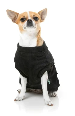 Kojima Harness Jacket - Black