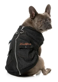 Kojima Harness Jacket - Black