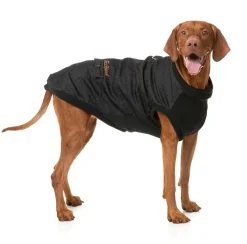 Kojima Harness Jacket - Black