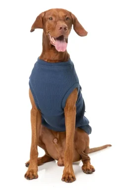 Kojima Harness Jacket - Indigo