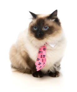 Lady Cherrybomb Necktie