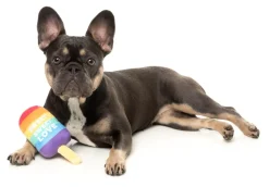 Love Icy Pole - Dog Toy