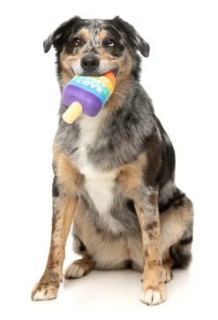 Love Icy Pole - Dog Toy