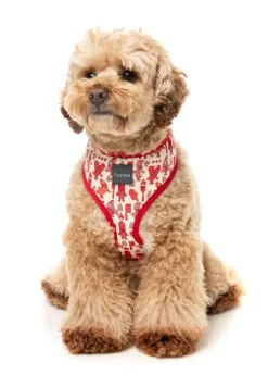 Meat Heads - Dog Harness