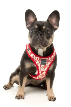 Meat Heads - Dog Step In Harness