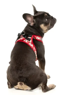 Meat Heads - Dog Step In Harness