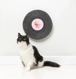 Meowly Cyrus - Record Cat Scratcher