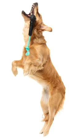 Mic Drop - Interactive Chew Toy