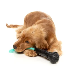 Mic Drop - Interactive Chew Toy