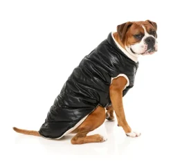 Milano Jacket - Black