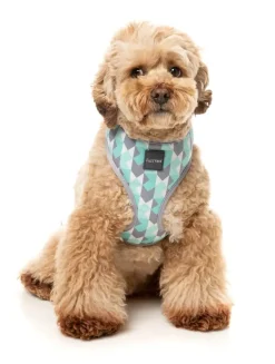 Mint Fizz - Dog Harness