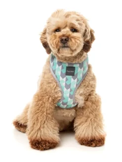 Mint Fizz - Dog Harness