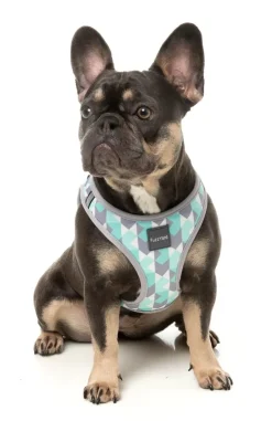 Mint Fizz - Dog Step In Harness