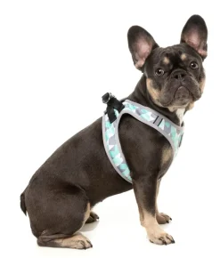 Mint Fizz - Dog Step In Harness