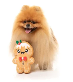 Mistle-Dough - Dog Toy