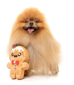 Mistle-Dough - Dog Toy