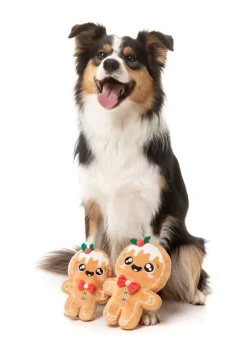 Mistle-Dough - Dog Toy