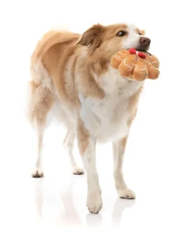 Mistle-Dough - Dog Toy