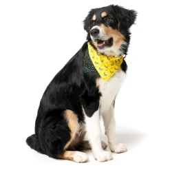 Monkey Mania Pet Bandana