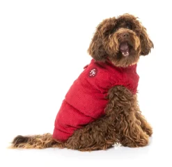 Mosman Puffer Jacket - Red