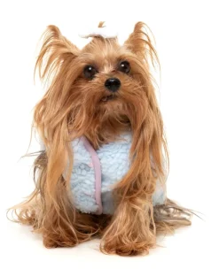 Nara 25 Jacket - Blue