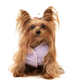 Nara 25 Jacket - Blue