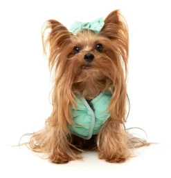 Nara 25 Jacket - Grey