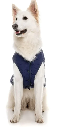 Nara Jacket - Dark Moss