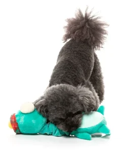 Neck Minnits - Loch Neck Monster