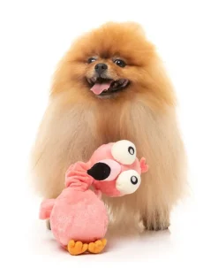 Neck Minnits - Neckole The Flamingo