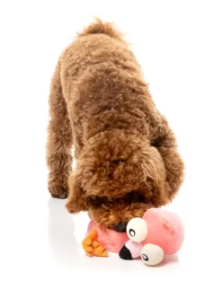 Neck Minnits - Neckole The Flamingo