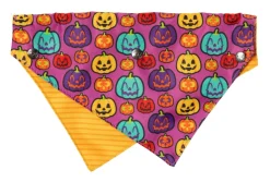 Oh My Gourd! - Dog 2 Pack