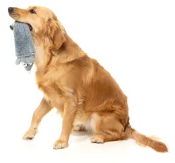 Peace Out Pigeon - The Yeetz - Dog Toy