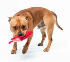 Pepper-Toni - Dog Toy