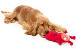 Pepper-Toni - Dog Toy