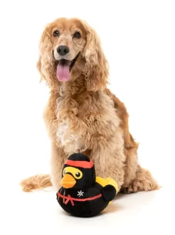 Quackie Chan - Dog Toy