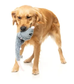 Rack Off Rat - The Yeetz - Dog Toy