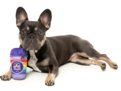 Rainbow Pawfee - Dog Toy