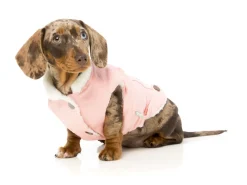 Rebel Denim Jacket Pink