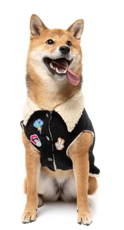 Rep It - Clubhouse Jacket