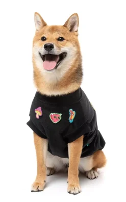 Rep It - Freshman Sweater