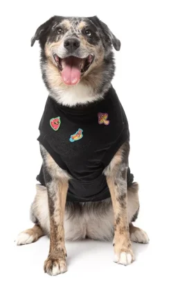 Rep It - Freshman Sweater