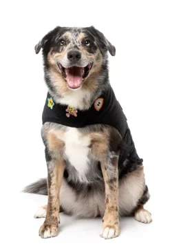 Rep It - Ranger Wrap Vest